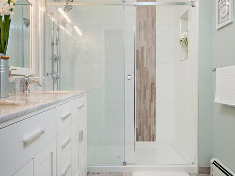 DU809-180 Shower Door